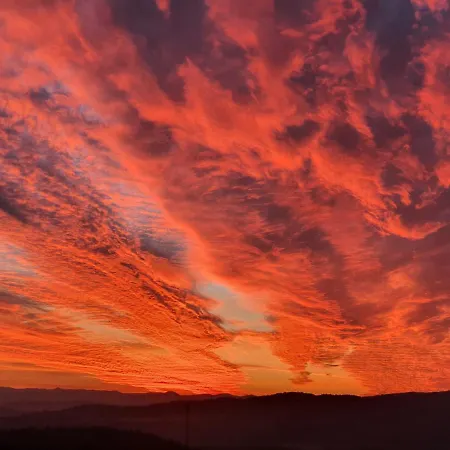 Tatil Evi Three Stars Luxury House Art-pe With Pool And Pool *