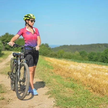 Three Stars Luxury House Art-pe With Pool And Pool Vikendica Trebnje