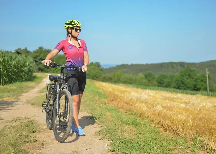 Three Stars Luxury House Art-pe With Pool And Pool Casa vacanze Trebnje